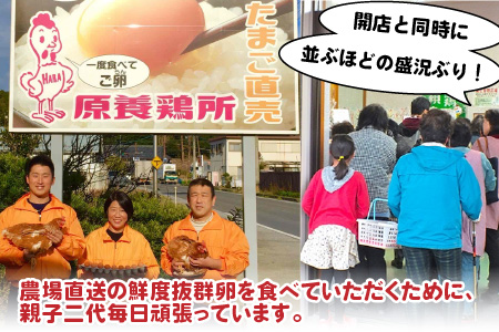 鮮度抜群！農場直送「卵」50個（45個 ＋ 卵割れ補償 5個）
