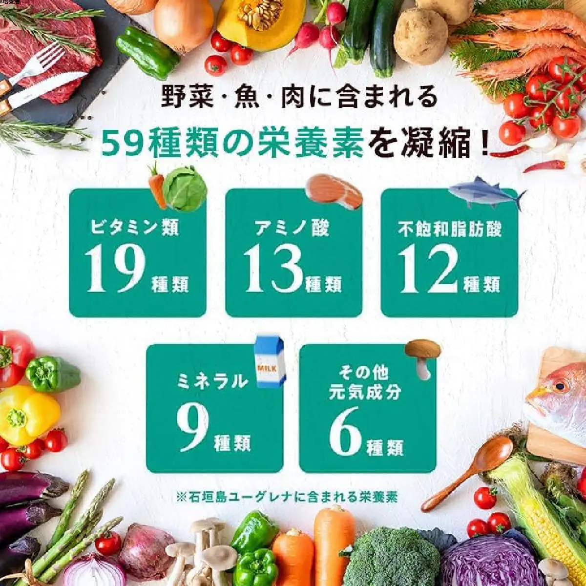 からだにユーグレナ グリーンタブレット乳酸菌 YG-5-1