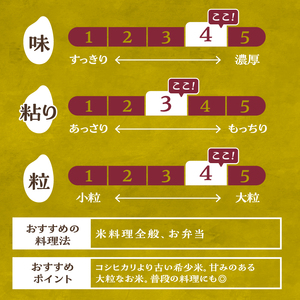 【令和7年度米】こぴっと米【農林48号】4kg　1等特別栽培 100％ 米 精米 よんぱち 幻のお米 北杜市産 お米  [h020]