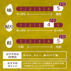 【令和7年度米】こぴっと米【極】2kg 大粒厳選・1等特別栽培米 100％ 米 精米 令和7年産 北杜市産 お米  八ヶ岳 [h020]
