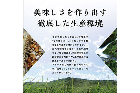 ＜牛赤身ロースすき焼き1kg(500g×2)＞翌月末迄に順次出荷【c428_tf_x2】