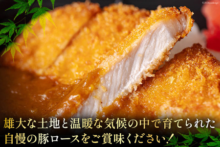豚肉 ロース とんかつ用 300g ×6 計 1.8kg [甲斐精肉店 宮崎県 美郷町 31as0090]
