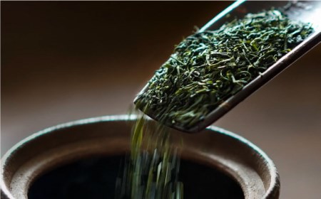 【全3回定期便】日本茶アワード受賞 玉緑茶 「心茶 鬼木みどり」 3本セット【原田製茶】 [GA21] 