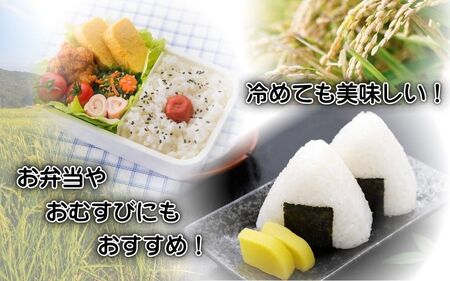 令和7年産 伊賀米コシヒカリ 10kg（6ヶ月連続） コシヒカリ【jaig-tkb0002】