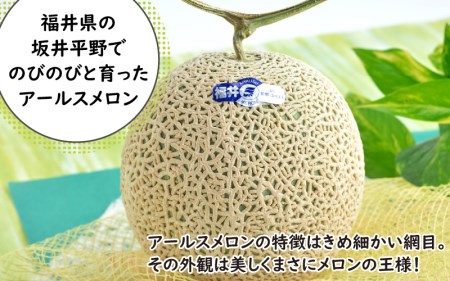 【先行予約】【訳あり】坂井市産 アールスメロン 2玉 【2026年9月上旬以降順次発送予定】[A-3232]