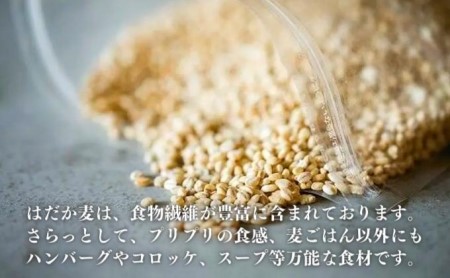押しはだか麦 計2kg（1kg×2袋セット） 食物繊維豊富 食物繊維 食感 プチプチ あっさり 麦ごはん 食品 食べ物 ご飯 おにぎり お弁当 主食 毎日 炭水化物 国産 日本産 愛媛県産 東温市産 直送 産地直送 