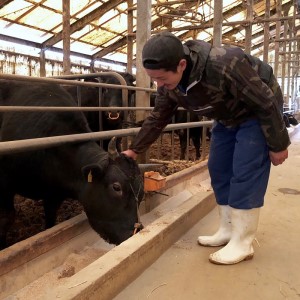 A5～4等級　厳選博多和牛肩ロースうす切り　1kg【036-0010】
