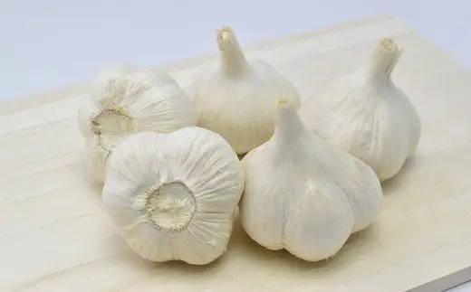 【2026年8月発送】【早期予約品】にんにく(1kg) 栽培期間中農薬、化学肥料不使用　【02402-0068】