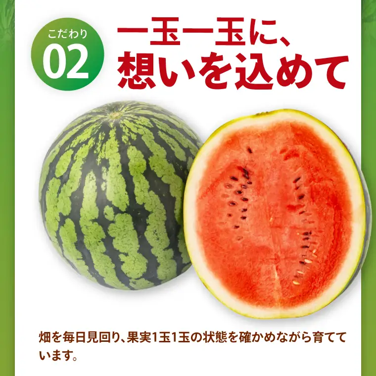 先行予約 大玉スイカ 4L サイズ 茨城県産 茨城県 阿見町 1玉 すいか 西瓜 果物 くだもの フルーツ 国産 甘い 大玉 スイカ 通販 お取り寄せ シャリ感 みずみずしい 完熟 高糖度 大きい こだわり栽培 特別栽培 旬 産地直送 数量限定 期間限定 送料無料 【先行予約｜2026年6月上旬より順次発送】（04-26）