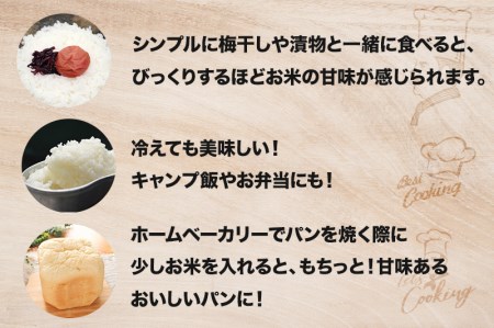 【米 定期便】 令和8年産 コシヒカリ白米 5kg×6か月 / 米 こしひかり ソイル 