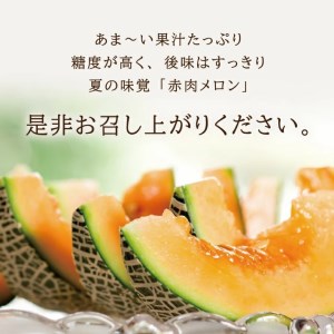 SA2870　庄内メロン/赤肉　レノンウェーブ　約7.5kg(5～6玉入)