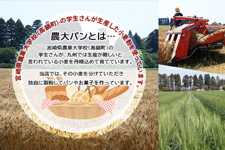 ＜YASUKICHIベーグル(農大パン)7種類20ケ入＞翌月末迄に順次出荷【c443_sk_x2】