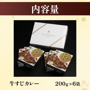 牛すじ 牛すじカレー 6個  牛すじ 牛すじ 牛すじ 牛すじ 牛すじ H23_02