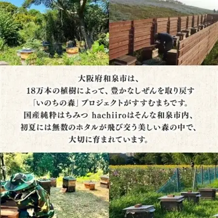 【1種】 いずみつ(百花蜜)200g　 倒立型 蜜切れ抜群ボトル【1502144】