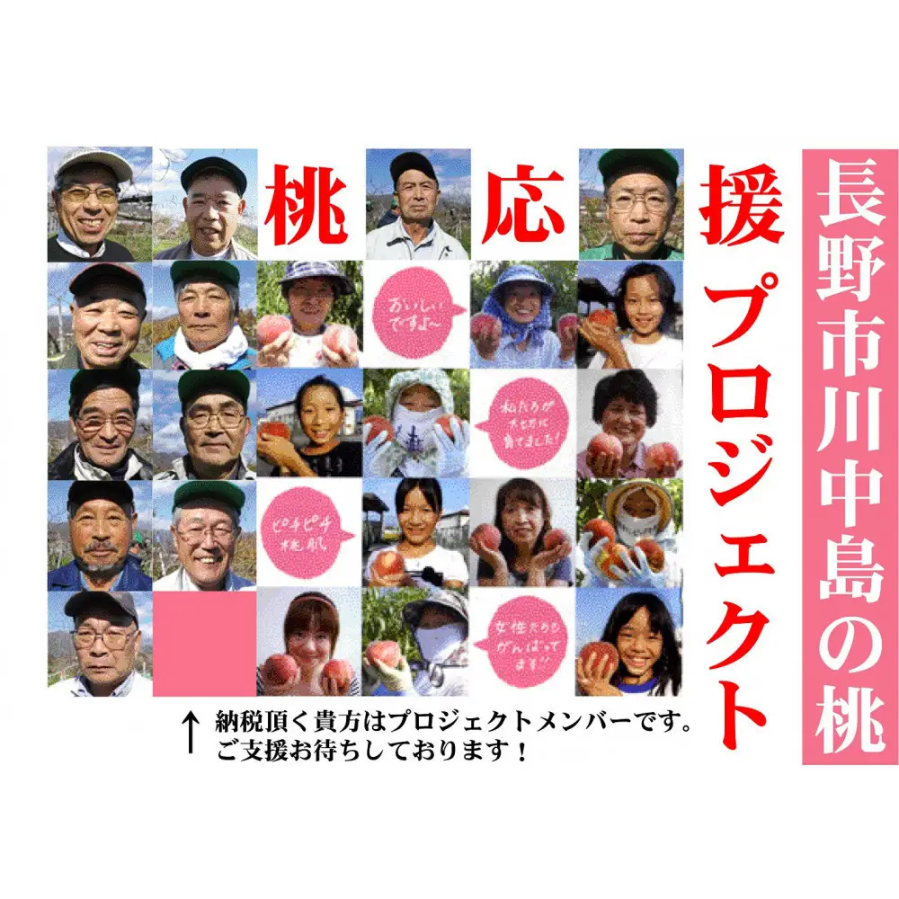 【先行予約】桃4kg(長野市川中島の桃農家を応援プロジェクト)【2026年7月下旬以降出荷分】