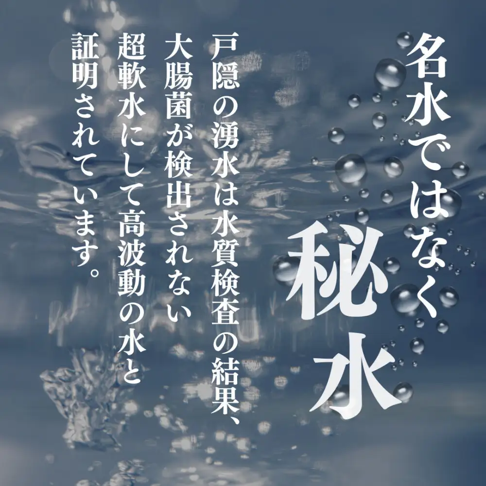 戸隠の湧水（500ml×24本入） | ミネラルウォーター 天然水 軟水 ドリンク