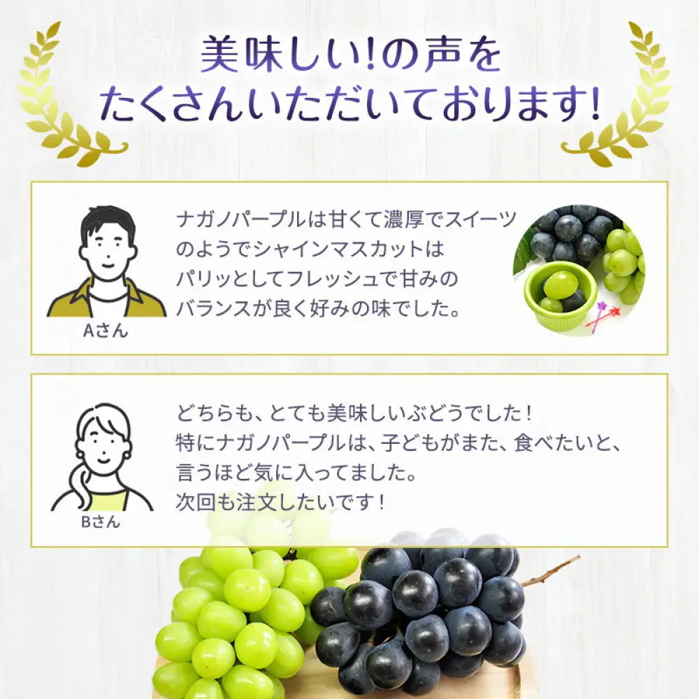 食べ比べ「ナガノパープル&シャインマスカット」約1kg 入【2026年9月以降発送予定】(さらしな青果) | ぶどう  シャインマスカット