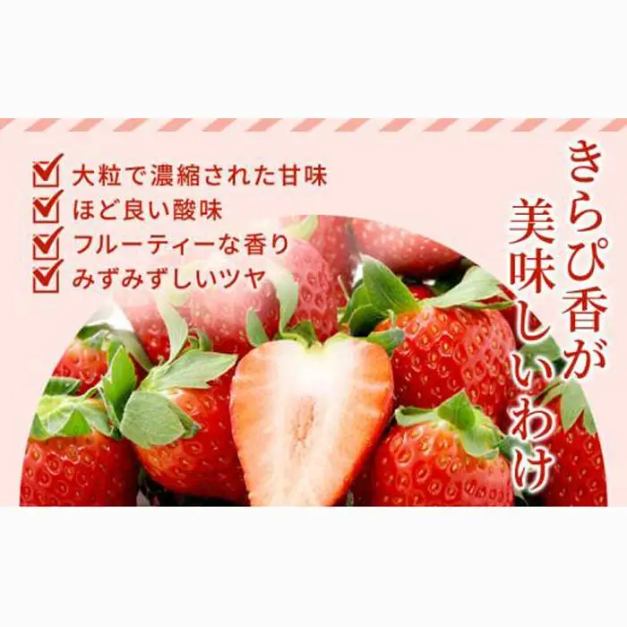 【2027年2月中旬より順次発送】いちご キラッと輝くいちご きらぴ香 4箱 8パック 大粒 果物 イチゴ 苺 国産 ギフト 贈答品 お祝い プレゼント フルーツ くだもの 冷蔵◆