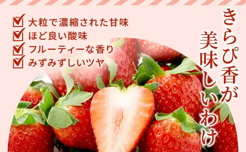 【2027年2月中旬より順次発送】いちご キラッと輝くいちご きらぴ香 2パック 果物 イチゴ 苺 おやつ ギフト 贈答品 お祝い 5000円 高級 国産 静岡 フルーツ くだもの