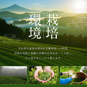 【訳あり】本山茶（ほんやまちゃ）200ｇ× 5本◆