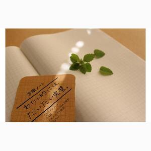 いいかげんノート レギュラーセット 2種×2冊　計4冊セット★★