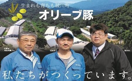 オリーブ豚　肩ロースブロック500g 受賞 ブランド 優秀賞 美味しい トンテキ 豚カツ 冷凍 