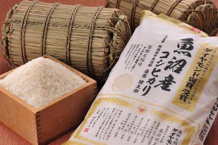 魚沼産こしひかり 30kg（5キロ×6袋） | 津南町 魚沼 令和7年