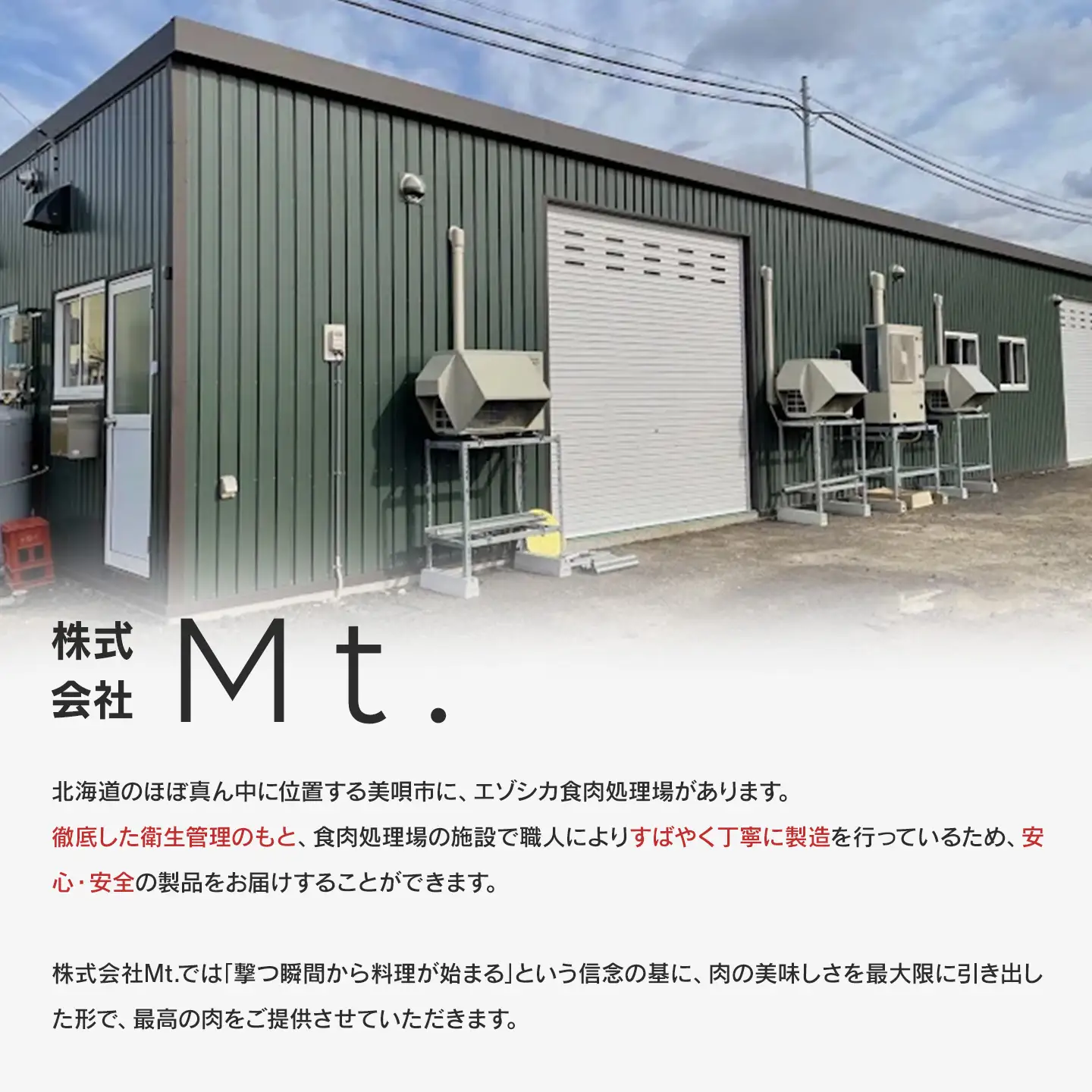 社長のおまかせ 鹿肉 ブロックセット 合計2kg以上 ｜ 鹿肉