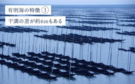 佐賀海苔 味海苔 250枚 海苔 [FBC021]