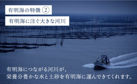 【全3回定期便】佐賀県産 塩海苔ボトル2本（10切40枚）セット[FBC038]