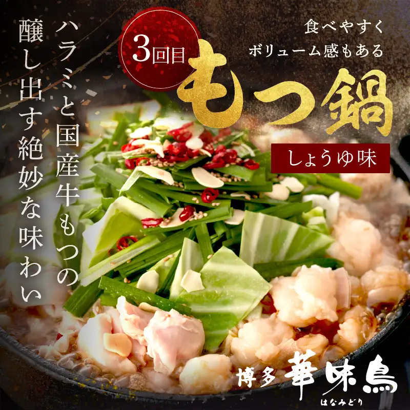 人気のもつ鍋＆水炊きお届け便【隔月定期便(計3回発送)】【F-028】