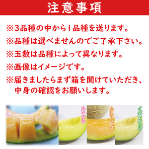 【2026年5月中旬より順次発送】★数量限定★お店で買えない逸品！亀田農園のまごころメロン5kg(4～6玉)｜果物 くだもの メロン ルピアレッド イバラキング あやひめ 数量限定 茨城県 行方市（B-1-1）
