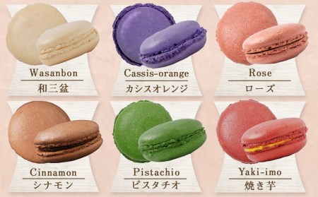 静マカロン缶～選べる8個セット～_LG-C202_(都城市) 日向夏 マンゴー いちご ショコラ バイオ茶 黒ごま ラムレーズン コーヒー 塩キャラメル ショコラフランボワーズ さくら レモン 和三盆 カシスオレンジ ローズ シナモン ピスタチオ 焼き芋「絵本作家たなかしんさん」ネコとリス缶 贈答用 