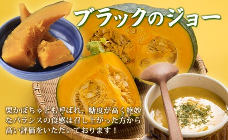【2026年10月発送】富良野産 野菜 5kgセット じゃがいも ＆ 玉ねぎ ＆ かぼちゃ 3種 詰め合わせ