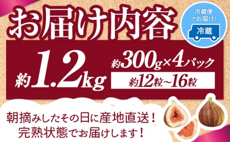 【☆2026年出荷☆】いちじく 福岡県産 ブランド いちじく とよみつひめ 約1.2kg (約300g×4パック) 【配送不可地域あり】【日付指定不可】 《8月中旬-9月末頃出荷(土日祝除く)》 福岡県 鞍手郡 鞍手町 いちじく イチジク 果物 フルーツ 送料無料