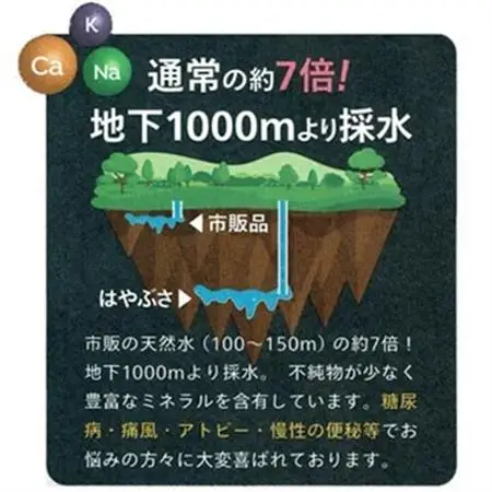 りょう泉はやぶさ　995〈500ml×24本〉【1031769】