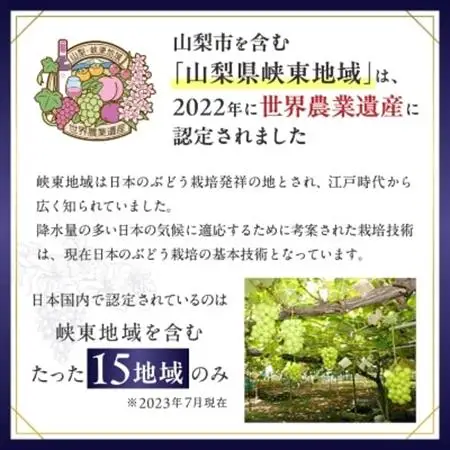 【2026年発送】シャインマスカット 2kg (3～4房) 農家直送 世界農業遺産認定地特産【配送不可地域：離島】【1117447】