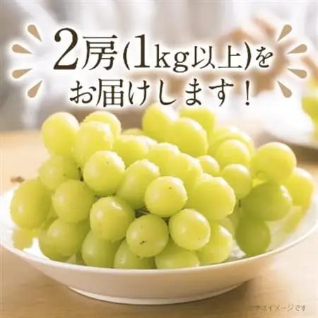 【2026年発送】完熟 シャインマスカット 2房 (1kg以上) 世界農業遺産認定地特産【配送不可地域：離島】【1117448】