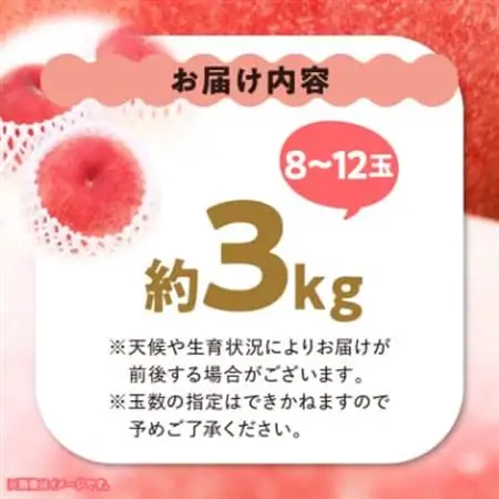 【2026年発送】 桃 約3kg (8玉～12玉) 厳選 ! 池田青果の もも【配送不可地域：離島・沖縄県】【1280521】