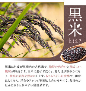 黒米入り玄米 ご飯パック 150g×24個 合計3.6kg 玄米 レトルトパック レトルト 合同会社くまもとごはん《30日以内に出荷予定(土日祝除く)》 熊本県 菊池産 ヒノヒカリ 雑穀米 熊本県産 九州産 熊本県産 送料無料
