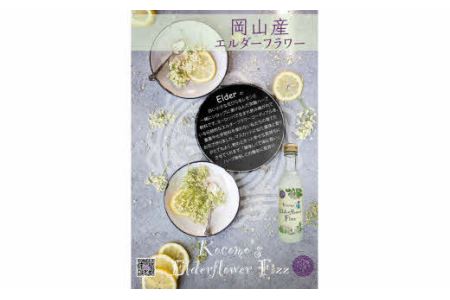 Kocomo’s エルダーフラワーフィズ 炭酸飲料 200ml×15本 _S124