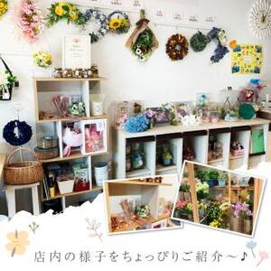 桜リース【072D-048】