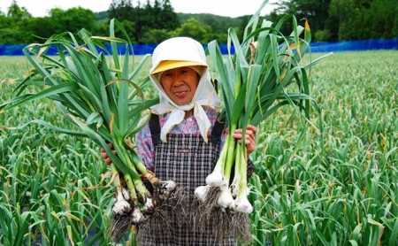 熟成黒にんにく　田子の黒Lサイズ6個入り（化粧箱）【田子町産にんにく使用】