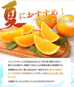 G7080_希少な 国産 バレンシアオレンジ 7kg 【家庭用 訳あり】【国産オレンジ オレンジ 柑橘 フルーツ 和歌山 有田】