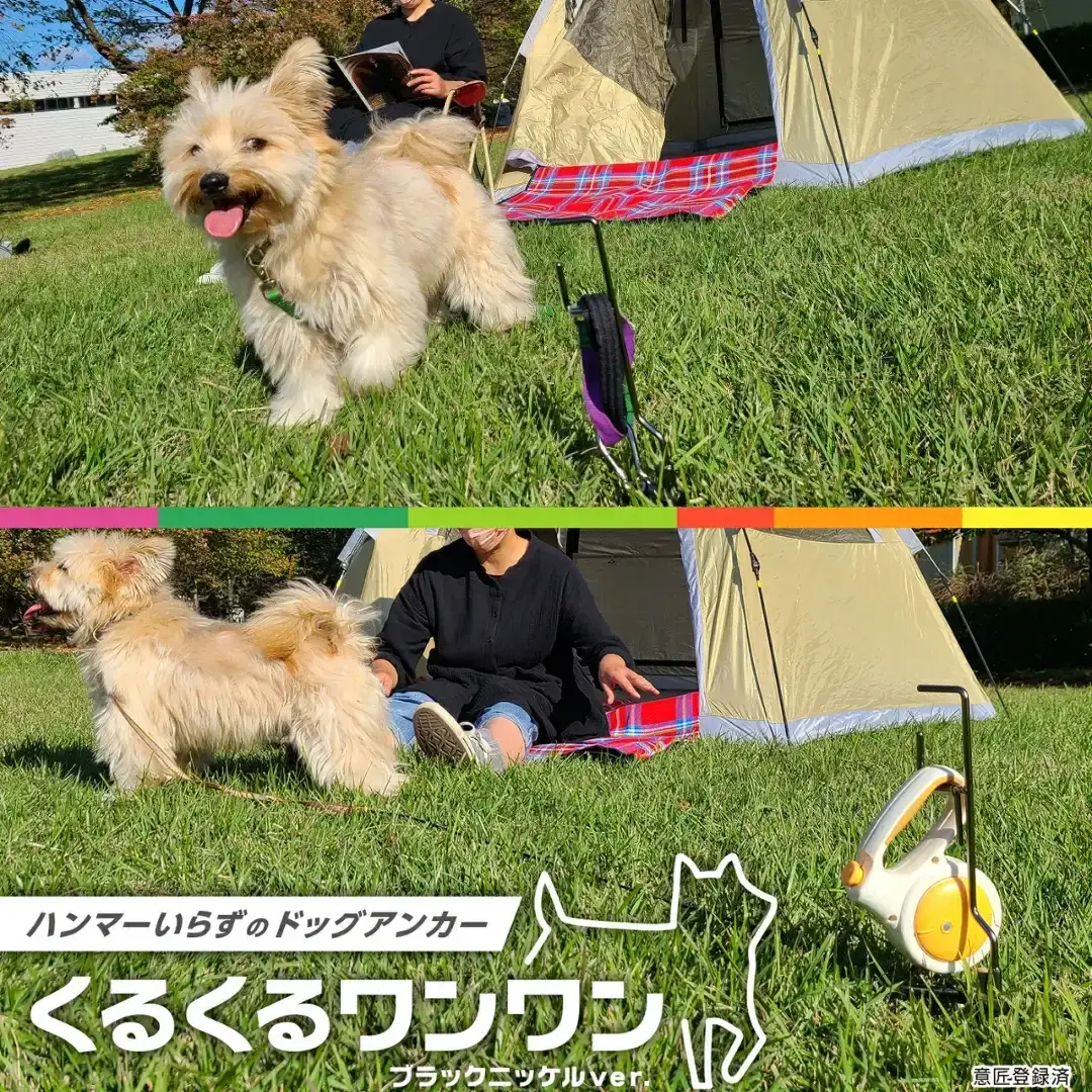 ハンマー不要のドッグアンカー [くるくるワンワン] ケース付 耐荷重約60kg 伸縮リード使用可 ステンレス製 燕三条製 キャンプ用品 アウトドア用品 【026S014】
