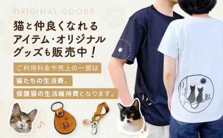 猫の月さくらやまご招待券2名様分（猫カフェ60分無料＋ワンドリンク付き）　ネコカフェ チケット 猫 ねこ ドリンク付き 古民家カフェ 保護猫 猫の月 さくらやま LM006