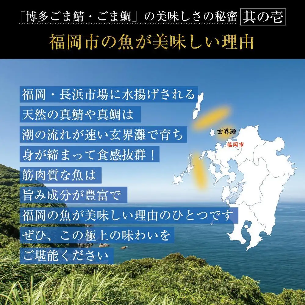 博多名物 ごま鯖 ごま鯛 2種 食べ比べ 各4パック セット 詰め合わせ 長浜市場水揚げ 小分け 天然 ごまさば 鯖 鯛 真鯖 真鯛 長浜市場 刺身 茶漬け 海鮮 お茶漬け お茶漬けの素 出汁茶漬け 惣菜 ご飯のお供 おつまみ つまみ 酒のつまみ 博多 福岡市