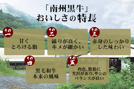 【鹿児島県産！南州黒牛】霜降りロースステーキ 約600g （300g×2枚）NS-514 | 国産 牛 黒毛和牛 牛ロース肉 オリジナルブランド牛 うし 牛肉 ロース サシ やわらかい 冷凍 ステーキ 鹿児島県 南大隅町 南州農場