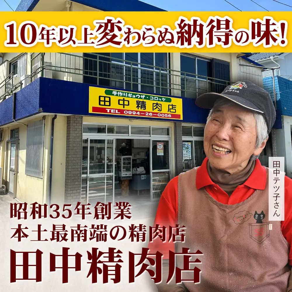  佐多の田中肉屋 味付唐揚げとコロッケ 2種 食べ比べ セット 冷凍便 TA-404 | 国産 鶏肉 骨なし お惣菜 手作り から揚げ 揚げるだけ コロッケ 大容量 おかず 弁当 おつまみ 簡単調理 産地直送 鹿児島県 南大隅町 田中精肉店 