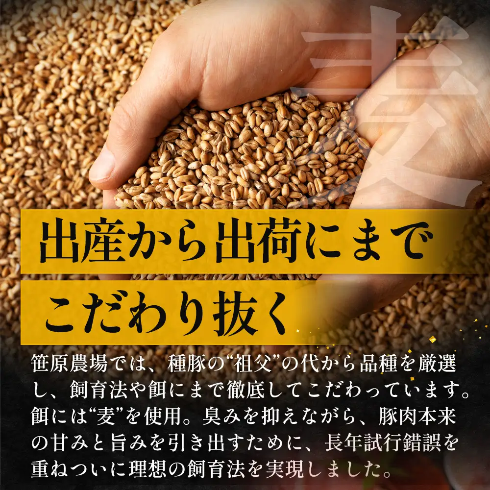 【ふるさと納税】鹿児島県産 ひかり麦豚【しゃぶしゃぶ 食べ比べ + とんかつ肉 + ハンバーグ】セット ≪合計1.1kg≫ HM-702  | 肉 お肉 にく 豚肉 ロース 肩ロース バラ肉 スライス 冷凍 産地直送 新鮮 送料無料 鹿児島県 南大隅町